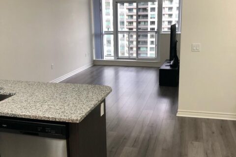 Apartment Cleaning